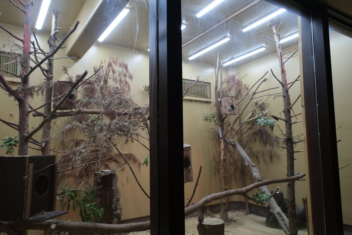 まるちゃん (@maru_448_g) / Posts / X