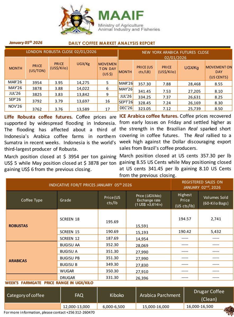 Coffee price update: 2026 opens with higher pricing for both Robusta and  Arabica on LIFFE and ICE futures. Ranges for local farm gate prices (in UGX per  kilogram) are as follows: ❇️Drugar: