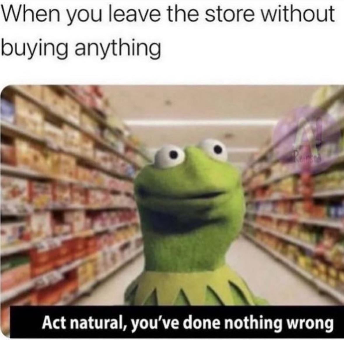 RespectfulMemes's tweet photo. https://t.co/emcPibvyg5