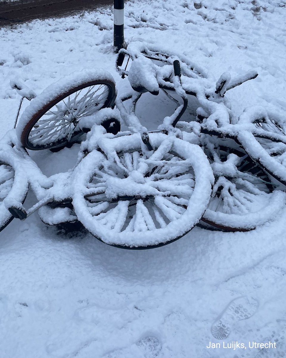 WetterOnline's tweet image. ❄️ Winter in den Niederlanden: Schnee und Eis sorgen für glatte Straßen und Einschränkungen im Verkehr. Am Flughafen Schiphol wurden 450 Flüge gestrichen, weitere Ausfälle möglich. ✈️❄️

#Niederlande #Schnee #Schiphol #Amsterdam