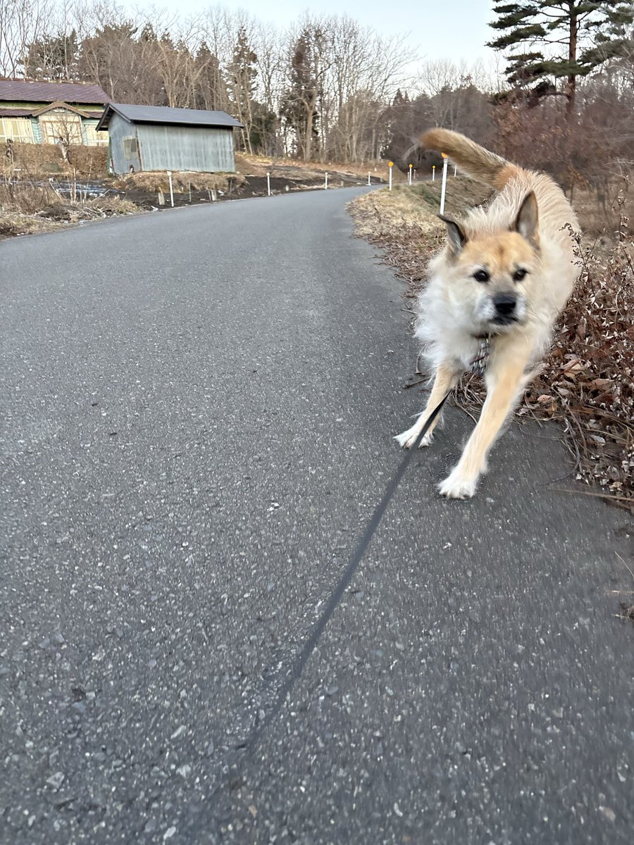 まめ◡̈︎* まめ (@maaaaame__3) / Posts / X