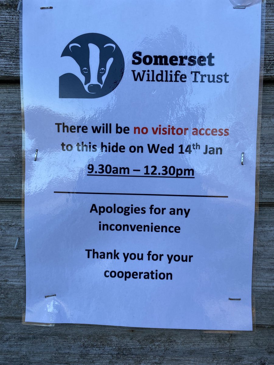AvalonMarshes's tweet photo. Please note the following closure of the main hide at Catcott next Wed 14th Jan… @SomersetWT https://t.co/yzdU6hkYDw