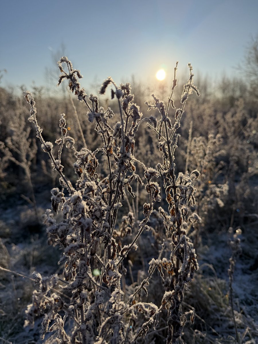 Simon Wheale tweet media