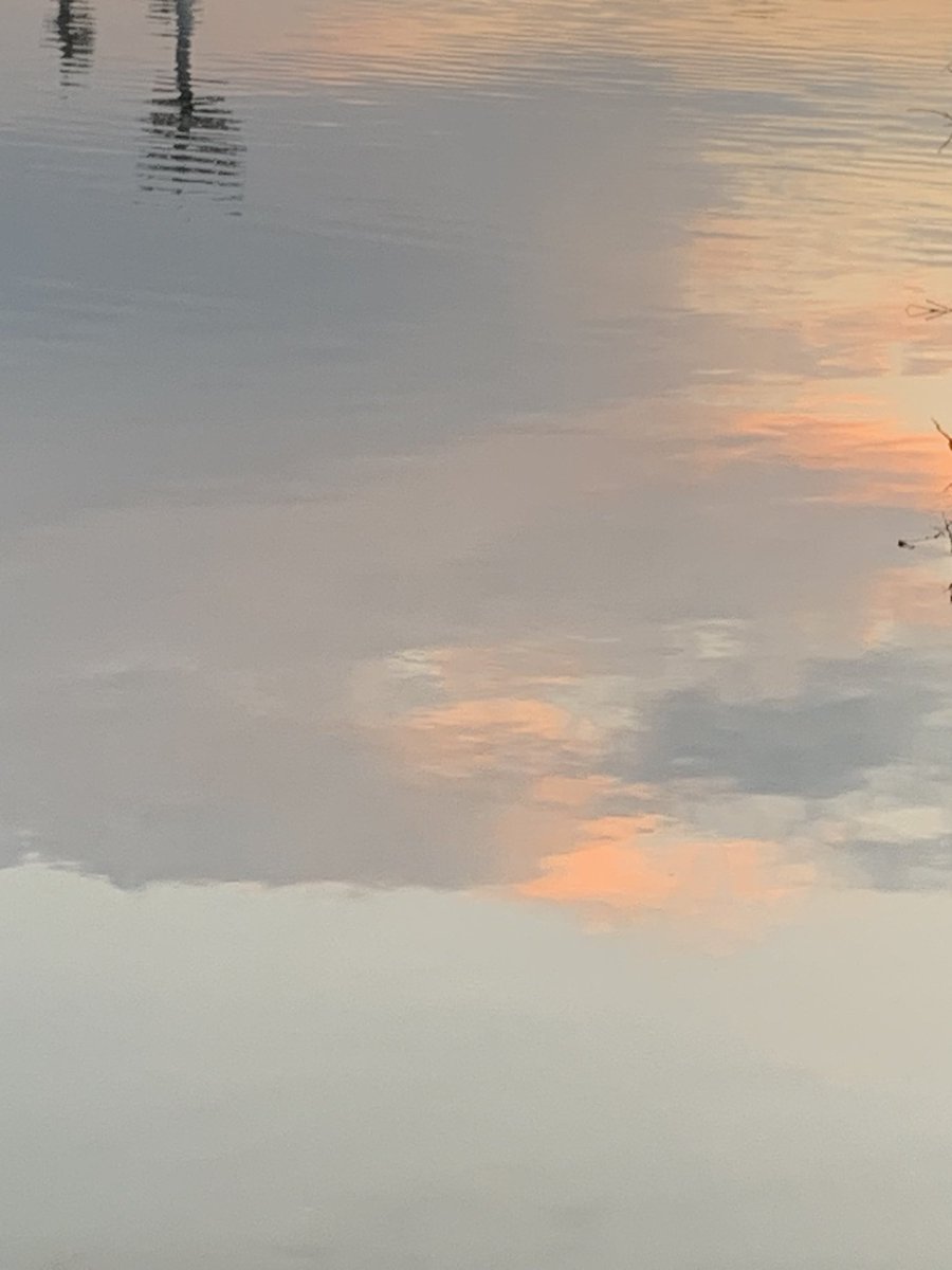 love my home🎼🫧🕯️