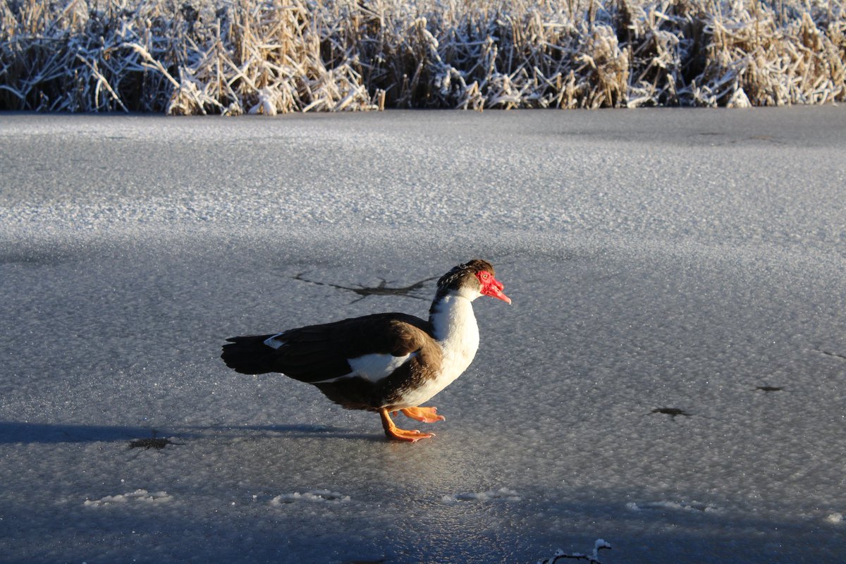 Martin Hey tweet media