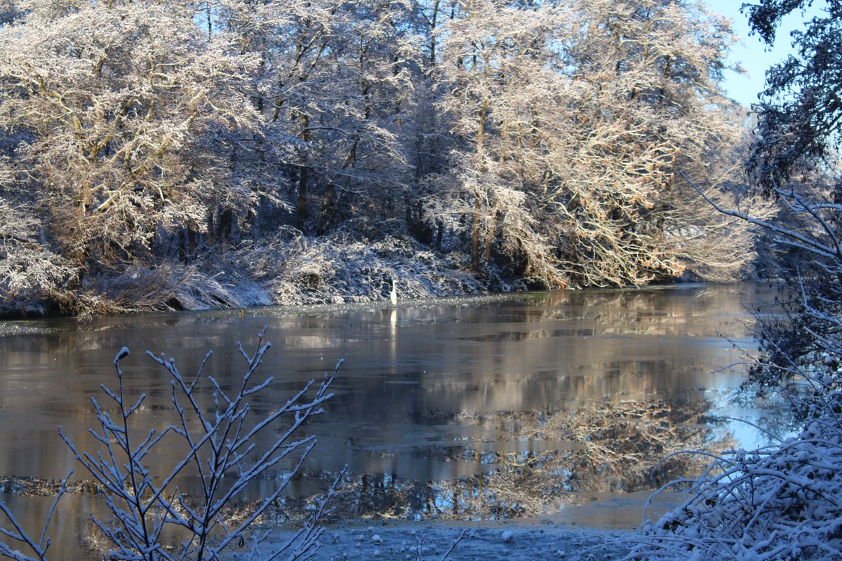 Martin Hey tweet media