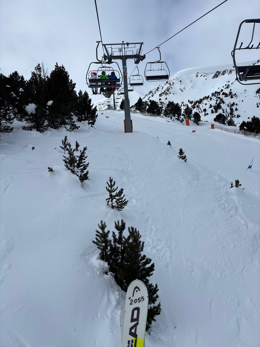 Limfork's tweet image. GM ⛷️