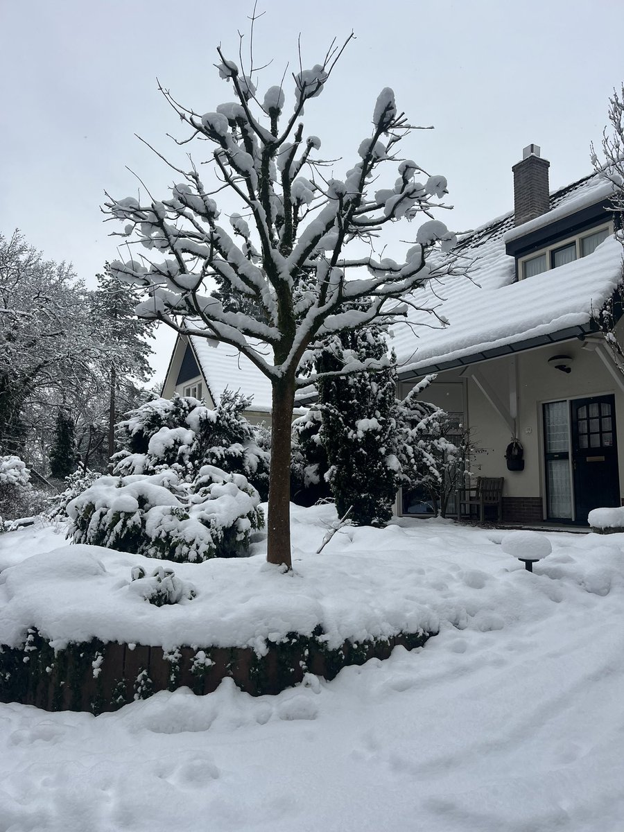 Actuele situatie op de #veluwe #sneeuw <a href="/helgavanleur/">Helga van Leur ☀</a>  <a href="/StephanVanLoon/">Stephan van Loon</a>  <a href="/Alpenweerman/">Johanns (Alpen)weer @johannsalpenweer.bsky.social</a>  <a href="/BuienRadarNL/">Buienradar</a> <a href="/Jantje_/">Jantje_</a>  <a href="/WeermanMichael/">Michael vd Poel</a> <a href="/_weernl/">Weer.nl</a> <a href="/StormchaserNL/">Wouter van Bernebeek</a>