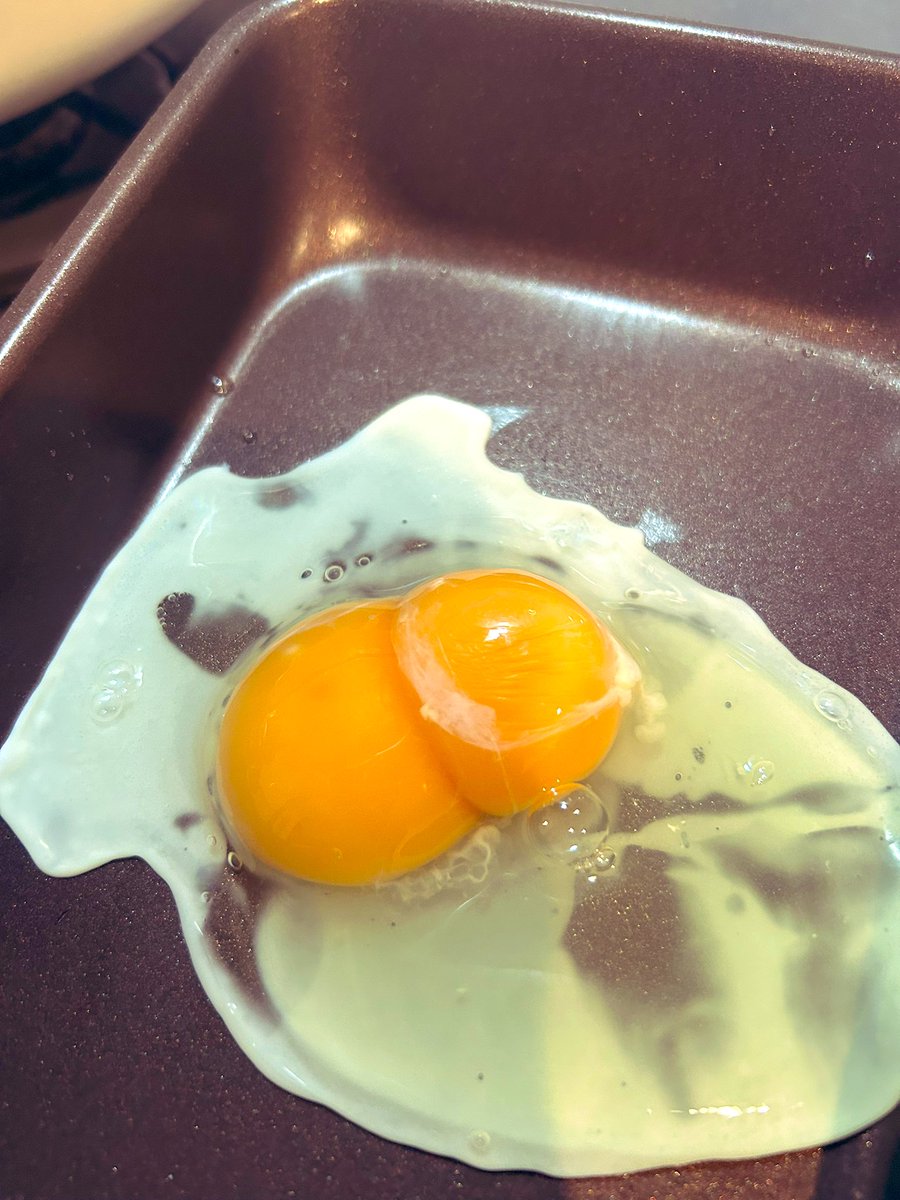 ✞四角い林檎✞ (@shikakui_ringo) / Posts / X