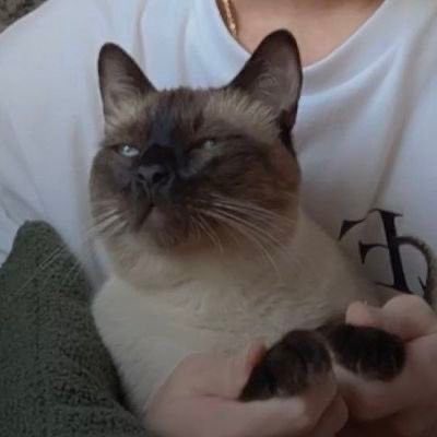 แล้วที่ตลกคือก่อนจะมาเป็นคุณหนูใจดี poem ฮีเคยโดนล้อว่าหน้าเหมือนควายด้วยซ้ำ