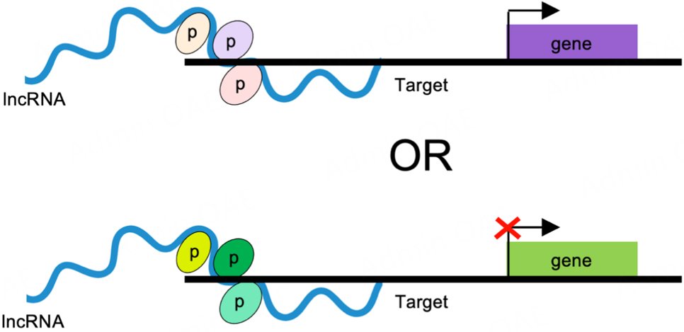 Journal of Translational Genetics and Genomics tweet media
