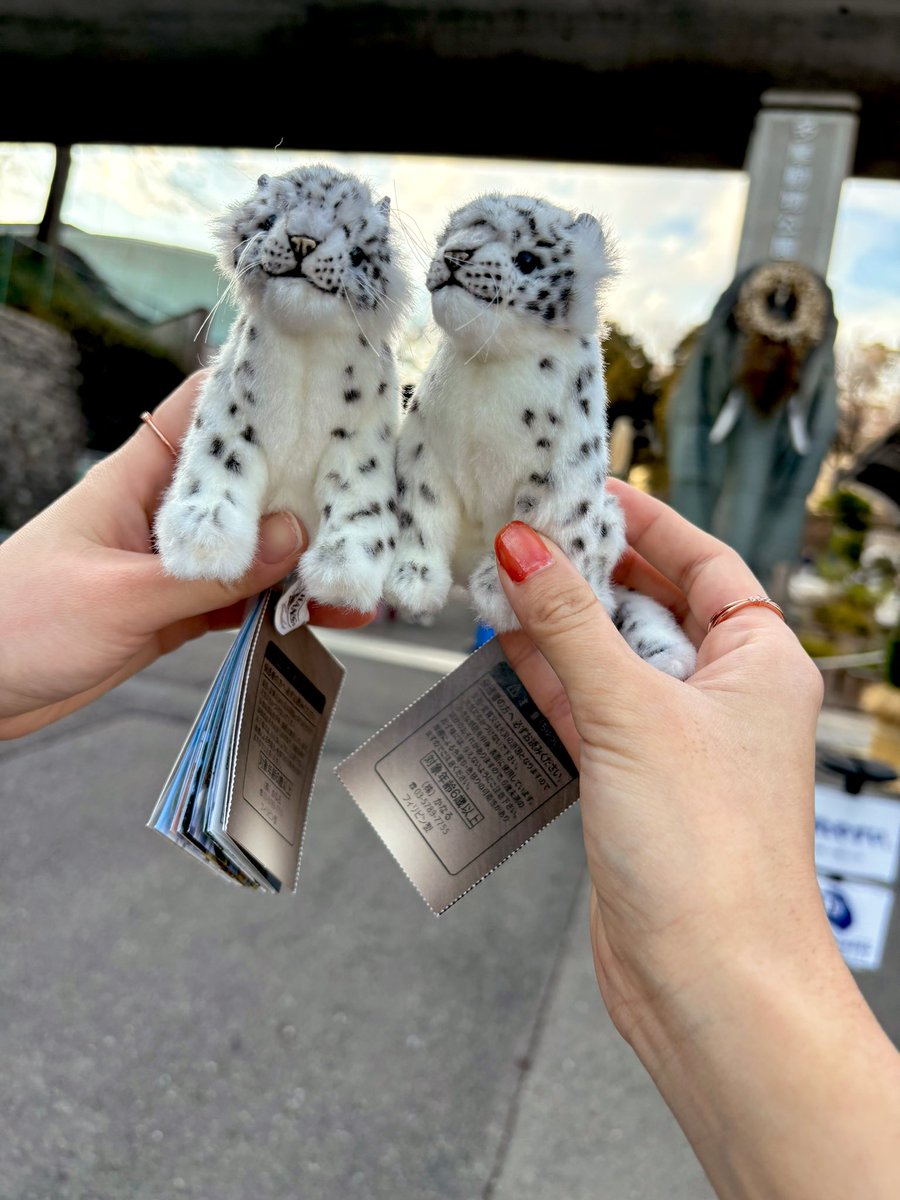 lcuuuu様•*¨*•.¸♬︎専用ページ✨ 海 月 𐂂⋆*𖧷 (@m_27uoxou_Oo) / Posts / X