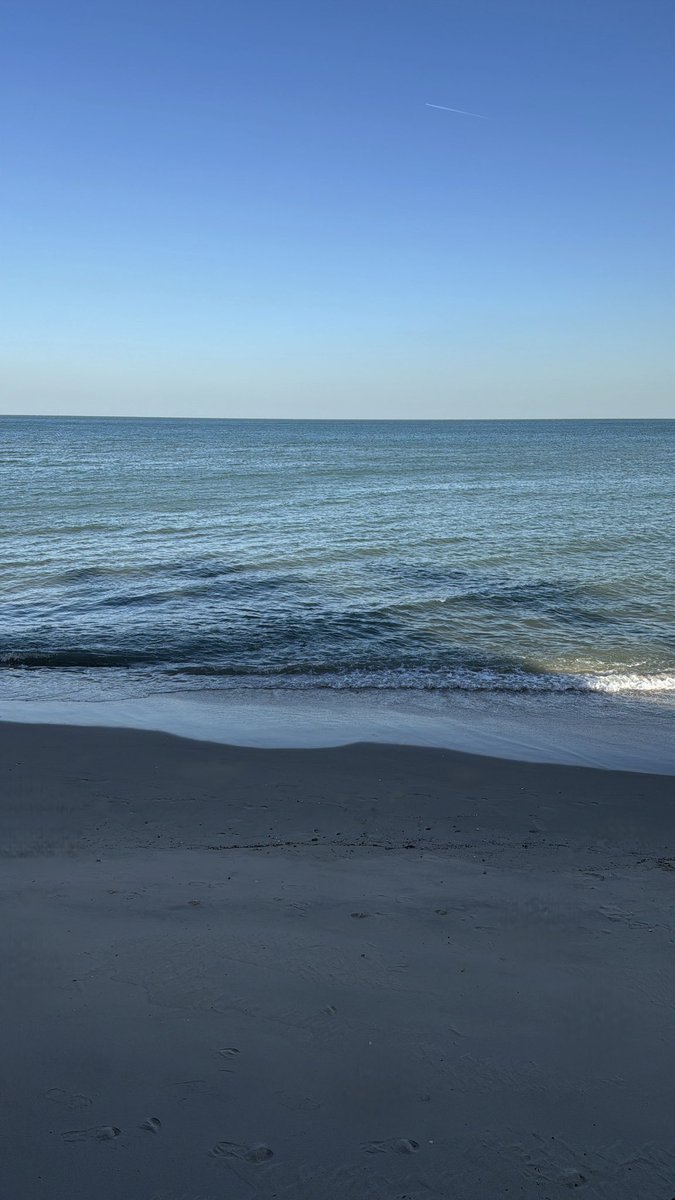 Dr_Dalaa's tweet photo. 🌊 🩵 https://t.co/jCIkMOQ2P4