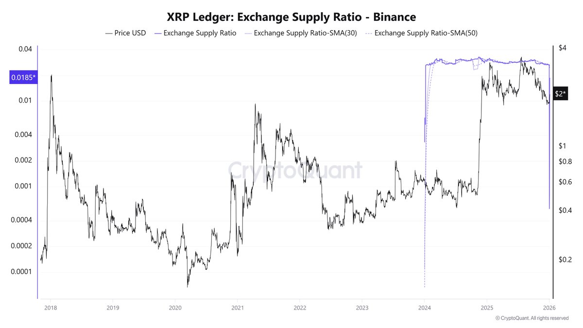 Pelin Ay (@PelinayPA) / Highlights / X
