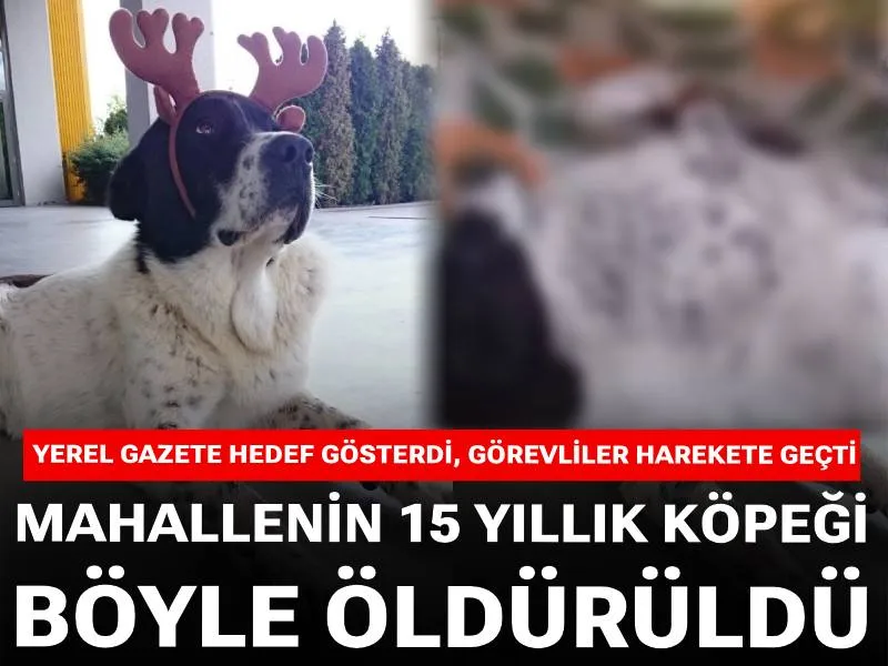 halktvcomtr's tweet photo. Ankara'da 15 yaşındaki Matmazel isimli köpek, kendisini istasyondan çıkarmak isteyen güvenlik görevlileri tarafından darbedildi

Korkarak kaçtığı sırada yürüyen merdivene sıkışan Matmazel, iç kanama sebebiyle hayatını kaybetti
https://t.co/bbjAttoCzt https://t.co/O5KWdiUE0T