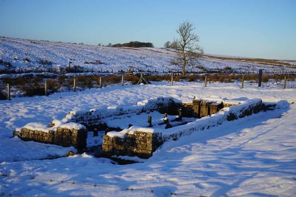 Do you fancy a winter walk along Hadrian's Wall? Of course you do, so join us for our Newbrough and Brocolitia Circular Walk on Wednesday 7 January. 

Book your place today by visiting the 'What's On' page on our website.