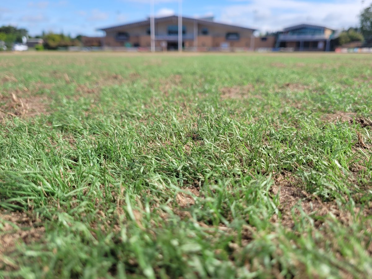 Mansfield Sand tweet media