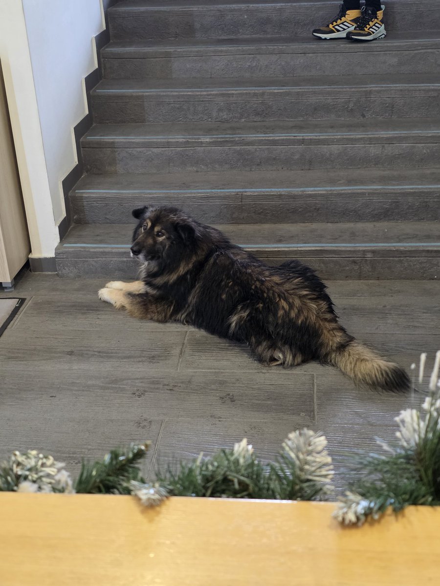 Ja sam ušao samo da se ugrejem nastavite sa treningom kao da nisam tu