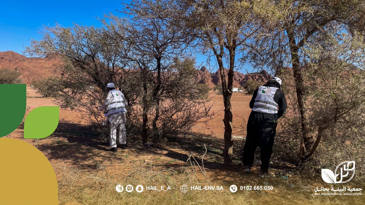 جمعية البيئة بحائل tweet media