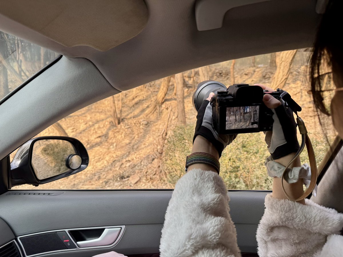 關 河 冷 落 tweet media