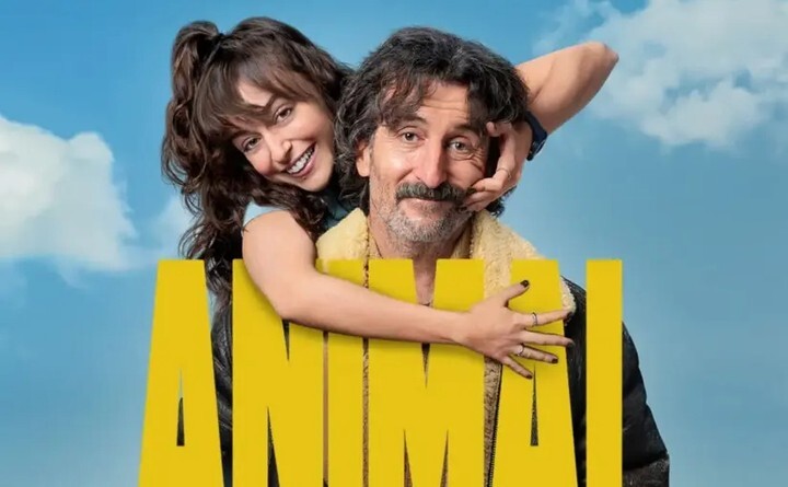 «Animal» es la comedia gallega de Netflix donde <a href="/LuisZahera/">Luis Zahera</a> pasa de las granjas a una boutique pet-friendly y todo se descontrola 🐑. Animales reales, humor cercano y segunda temporada en marcha. #Animal #Netflix
ift.tt/J8IzDV9 instagr.am/p/DTIDBUCjGf3/