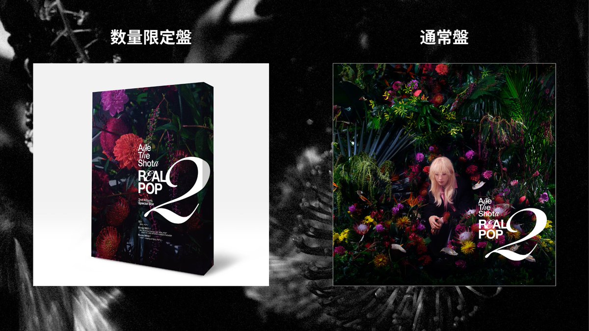 2026.2.18 Release Aile The Shota 2nd Album『REAL POP 2』 ▽アート
