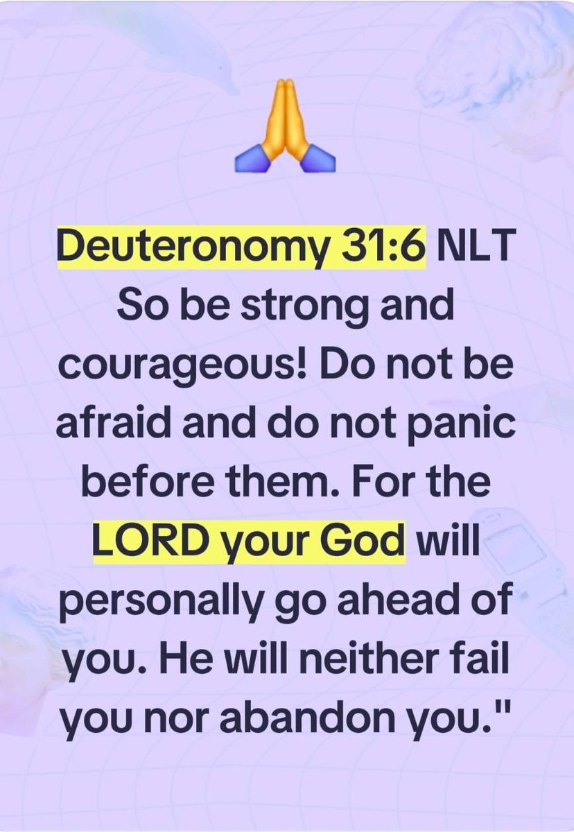 Tom Rasoki tweet media