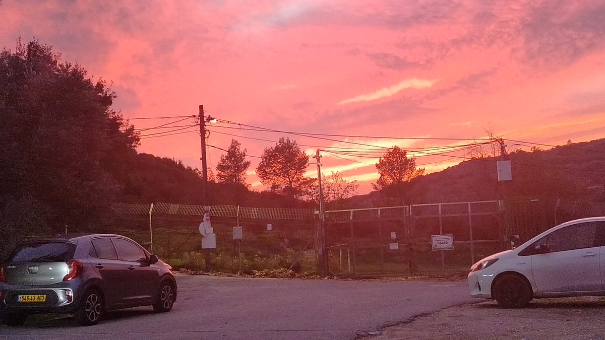 ๐ฃ Roey Perlstein-Dvir tweet media