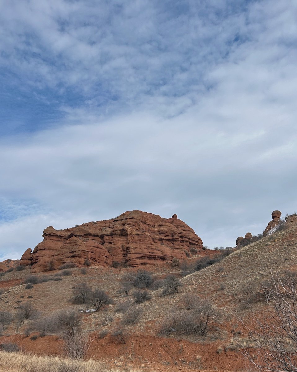 Pingu ve Bebo tweet media