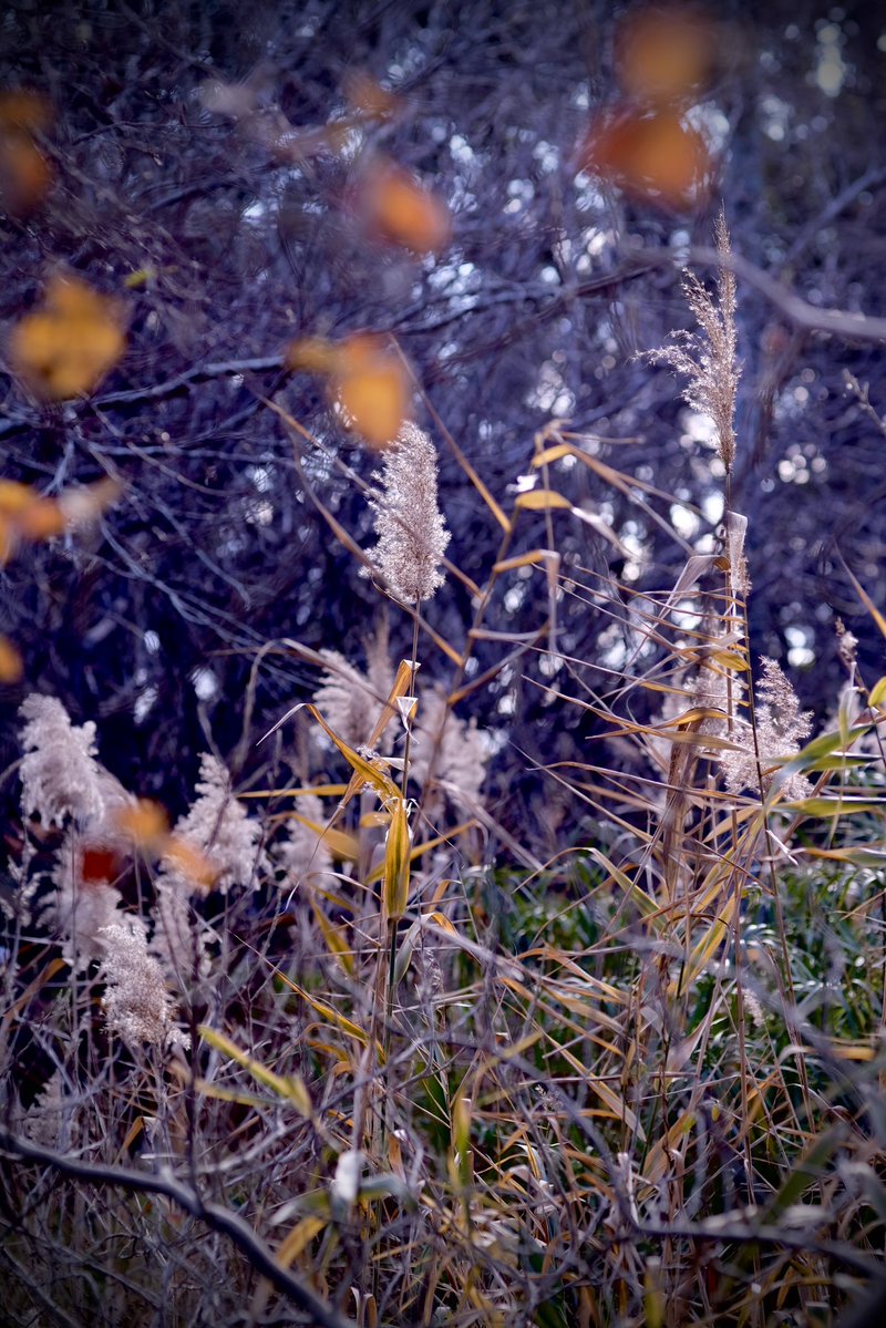 今日も一日 おつかれさま…