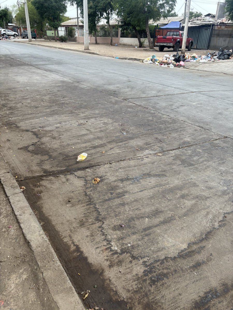 Marión Concha tweet media