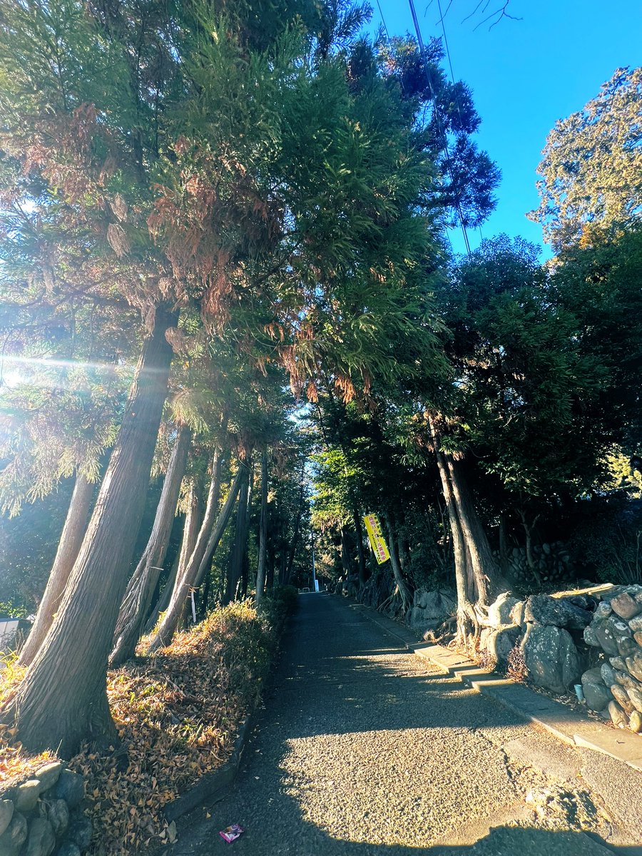 明けましておめでとうございます🎍
子供の頃通った通学路沿いの神社に初詣⛰⛩⛰

本年も宜しくお願いいたします🌅