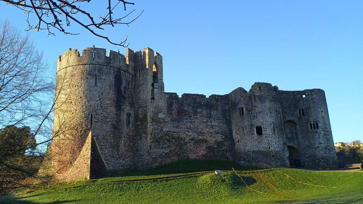 That Castle Fella tweet media