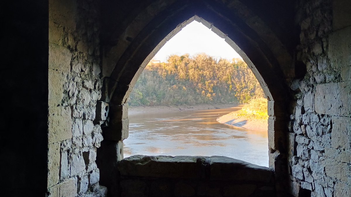 That Castle Fella tweet media