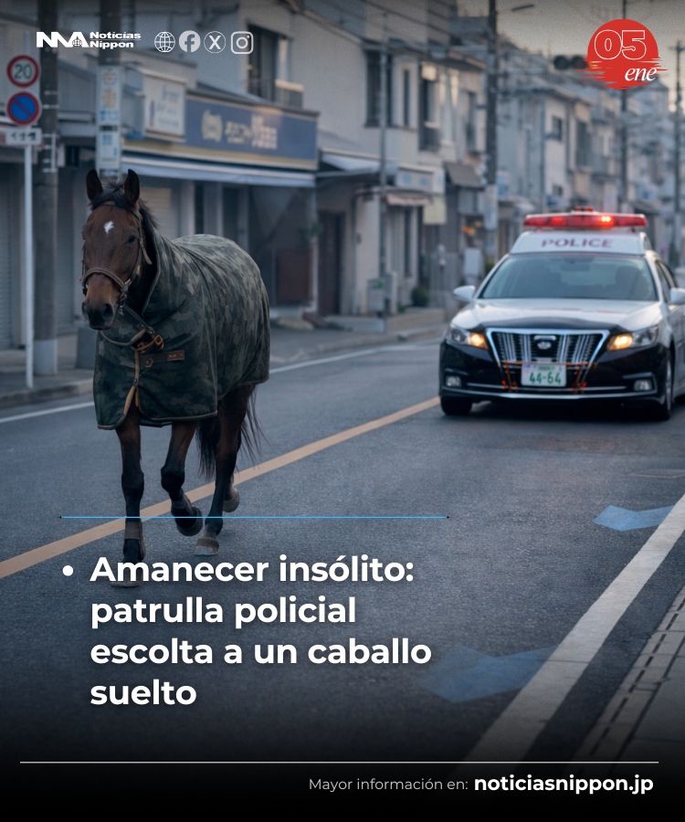 NoticiasNippon's tweet image. [kokunai nyūsu]  No era un sueño: un #caballo caminaba por la ciudad

👉 noticiasnippon.jp/2026/01/05/kkn…

#国内ニュース
#明治大学の馬
#noticiasnippon
#noticiasdejapón