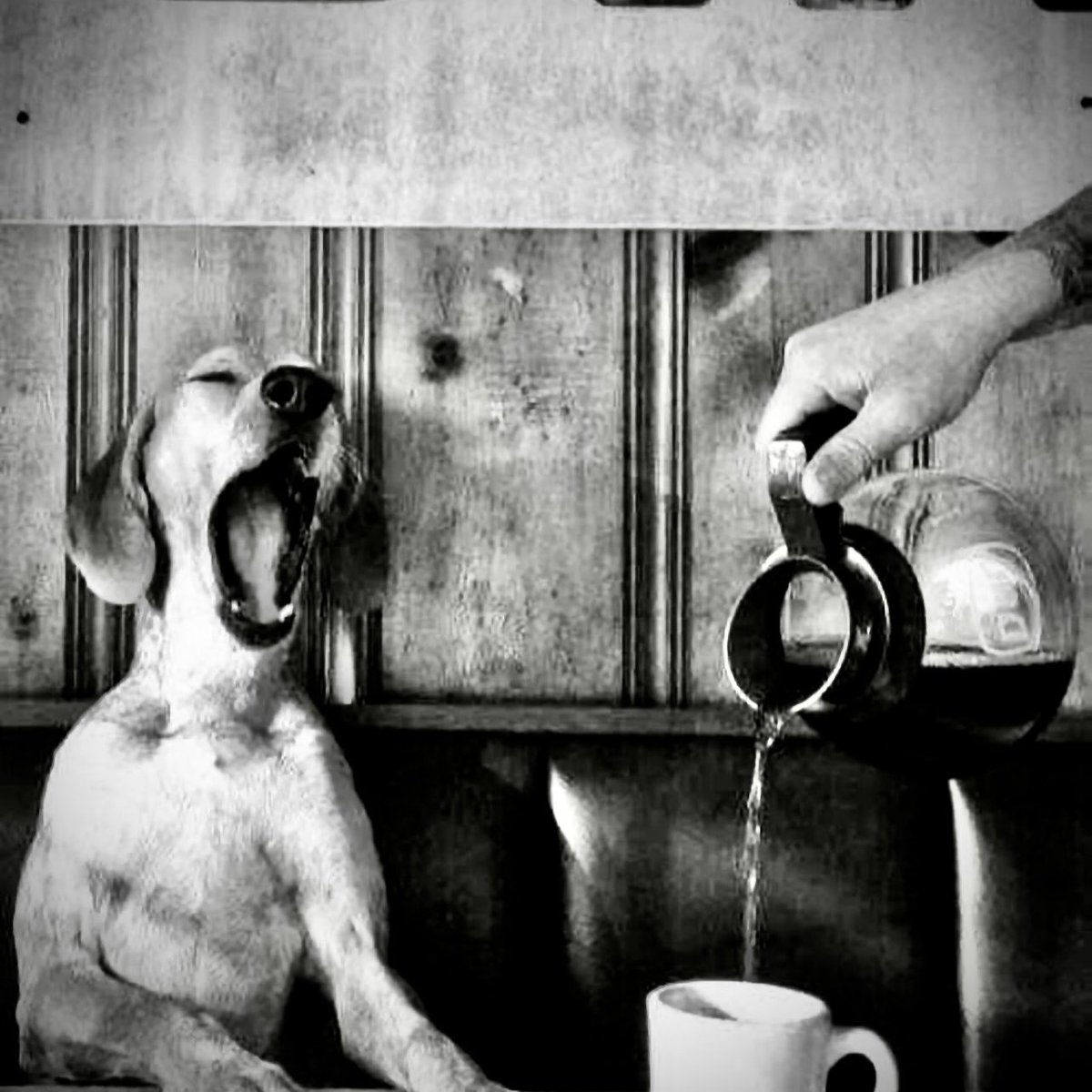 Charleston_Law's tweet photo. Good Morning, @Charleston_Law friends and family. It's Monday, January 5, and we're back from Winter Break. Our offices are open for business today, and classes begin the following Monday (1/12). Grab a cup of coffee and let's go ... #SCLaw #LawSchool https://t.co/W0kZYy3H3w