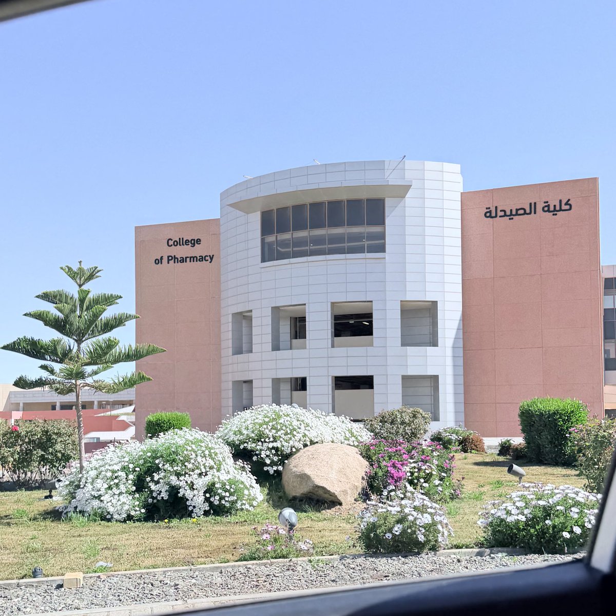 ALBARAA tweet media