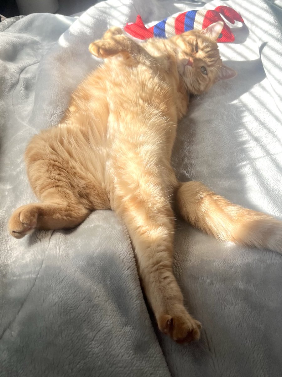 ยูระ คาโนะ