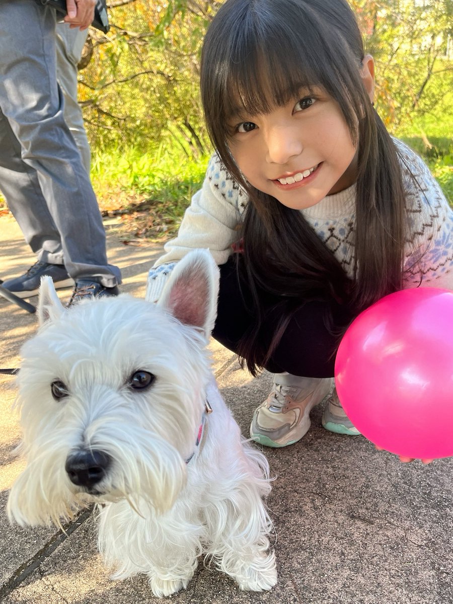 BISCUIT🍪りこぴん🍓 (@0728rikopin) / Posts / X