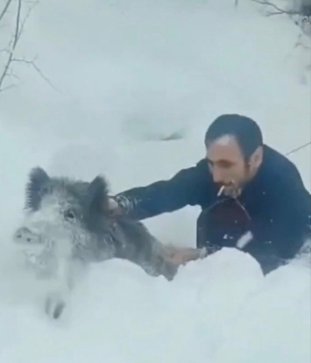 Cyrus_Intel75's tweet image. 🇺🇸 Delta Forca 🆚 Turkish peasant 🇹🇷

📌 A Turkish villager might know how to use a gun, but Delta Force could never catch a pig with their bare hands while smoking a cigarette.