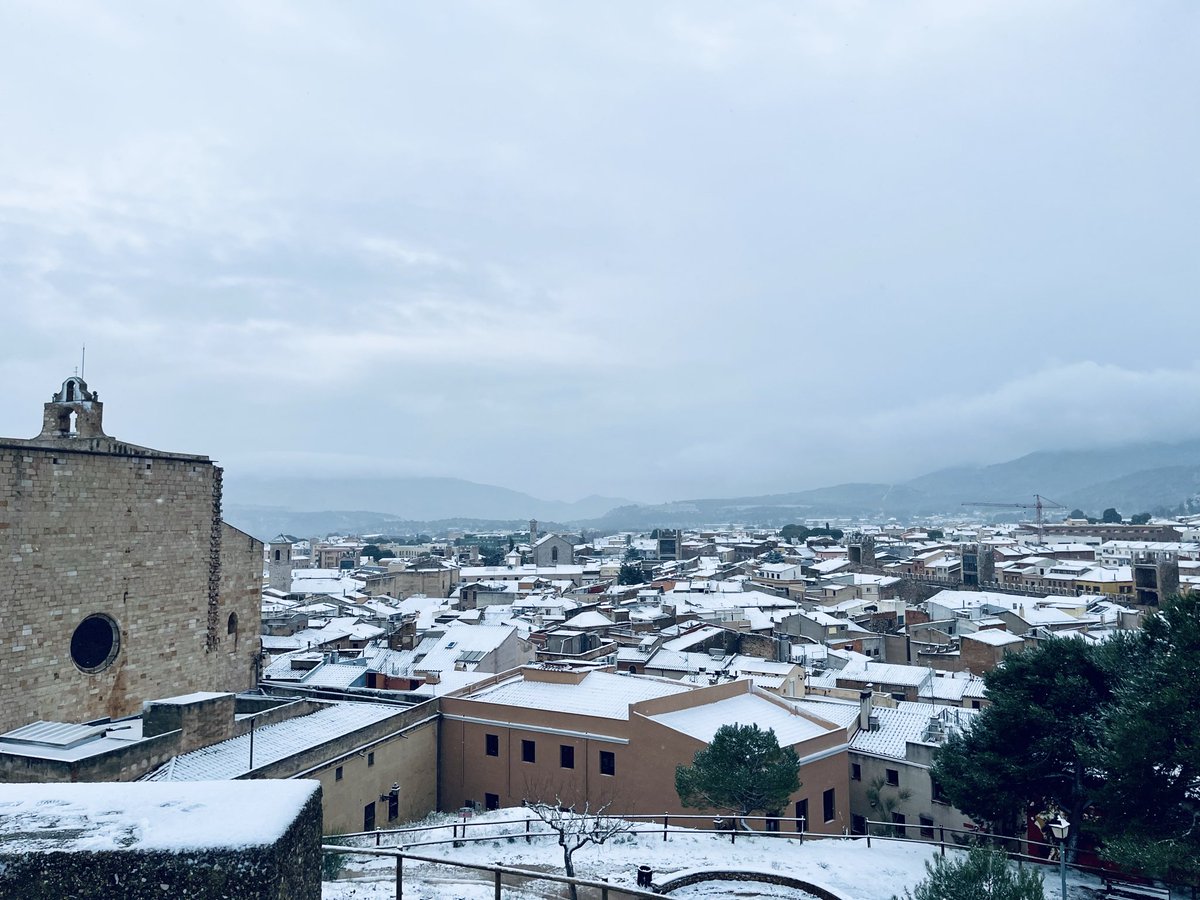 Àlex Rebollo tweet media