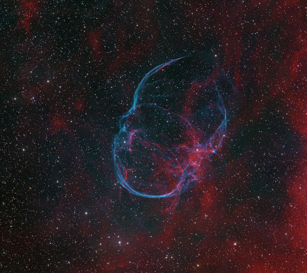 Insight Observatory tweet media