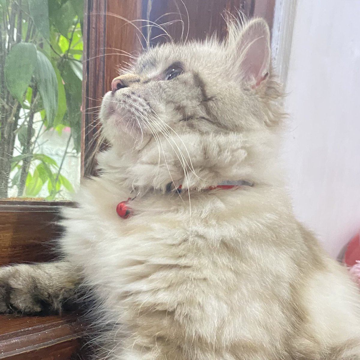 csaa (@vennussa) on Twitter photo 