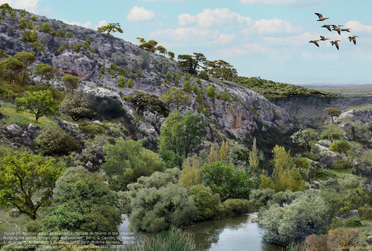 Publicado en Earth-Science Reviews: "Plants in the shadows: Bridging the gap in paleoecology and paleoart" con una fascinante reconstrucción del paleoambiente de la Cueva Negra del Estrecho del Río Quípar de #CaravacaDeLaCruz #Murcia 

🔗Más info en: mupantquat.es/post-noticias/……