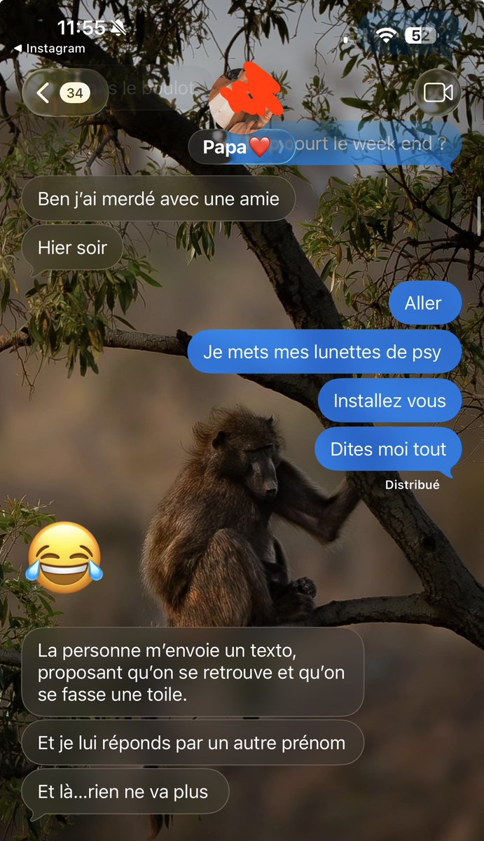 Perroquet Quête 🤡 tweet media