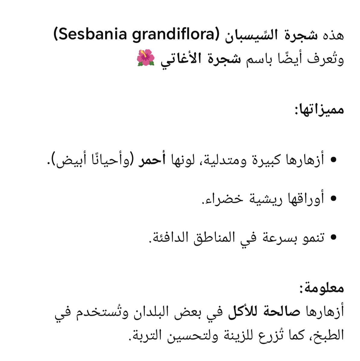 ميسون tweet media