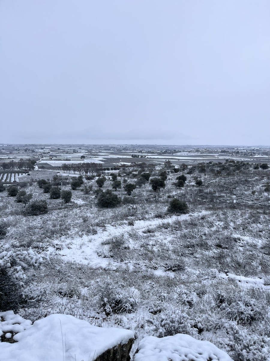AndreaR18698's tweet photo. Dia de reis diferent❄️ https://t.co/o70tJL8nc2