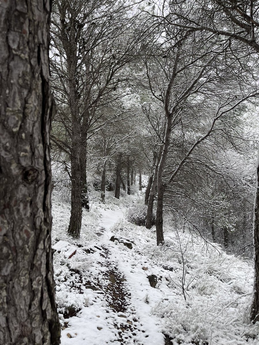 AndreaR18698's tweet photo. Dia de reis diferent❄️ https://t.co/o70tJL8nc2