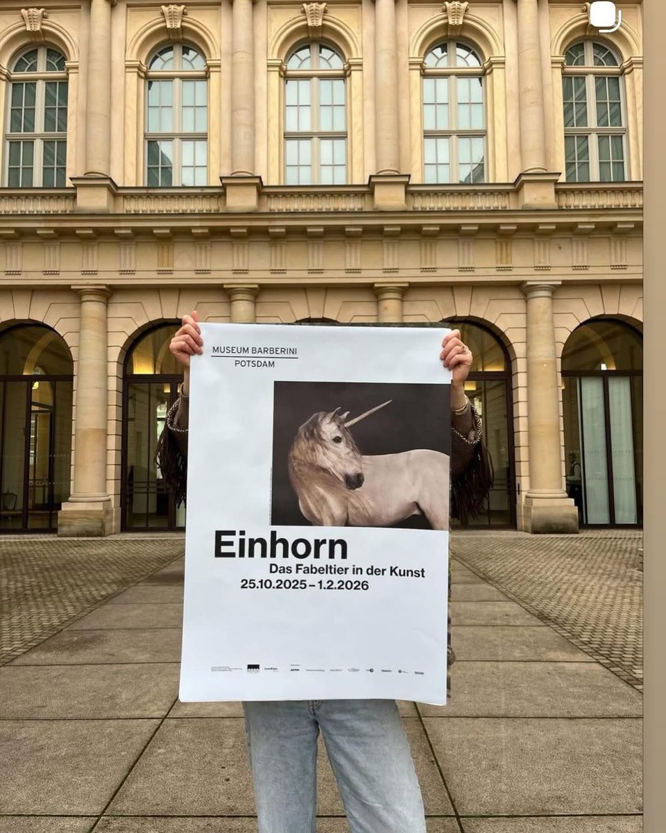 Studio Marie Cecile Thijs tweet media