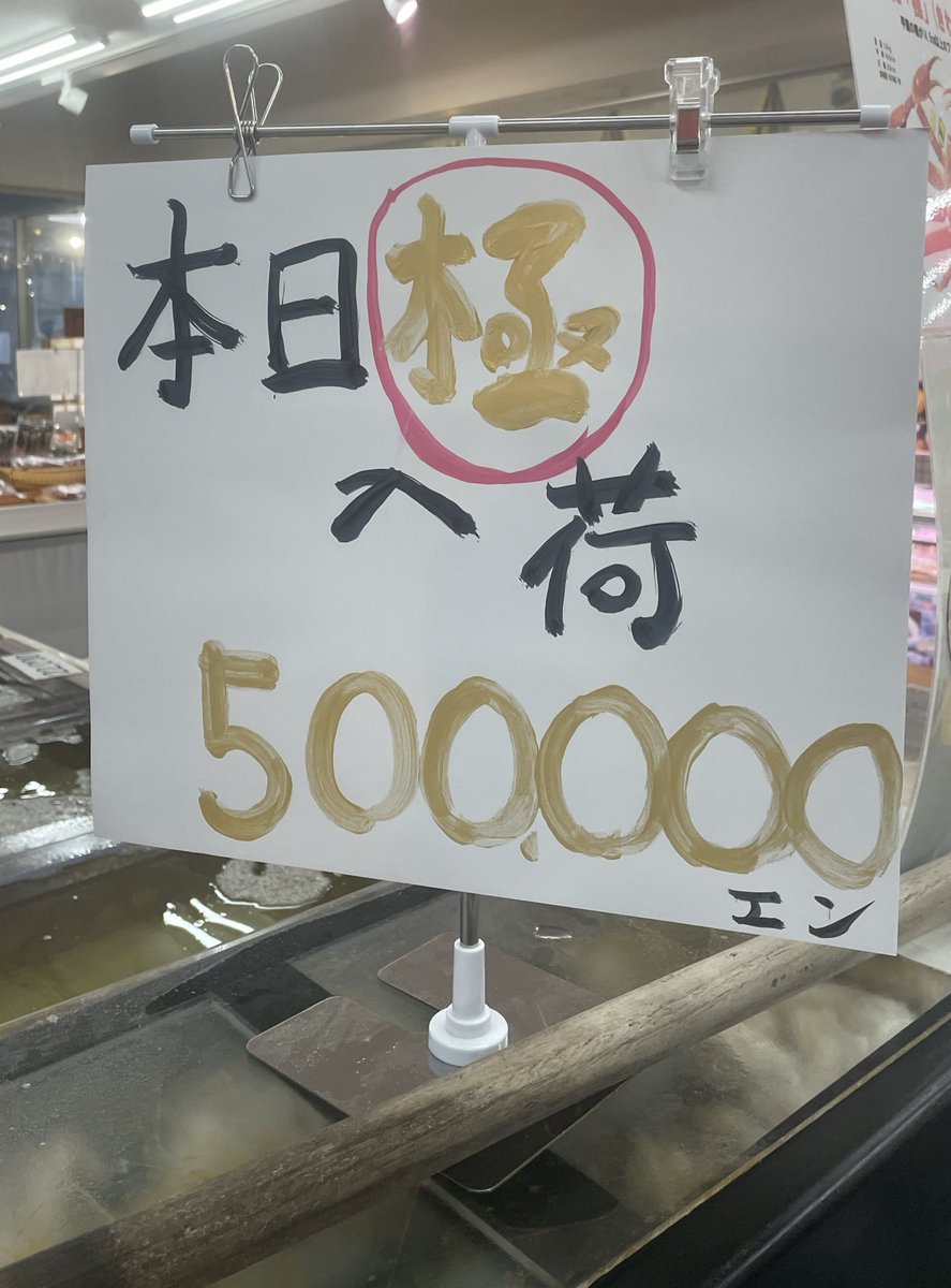 安藤桂子 (フリーアナウンサー） tweet media